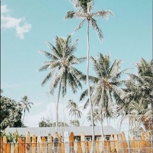 Meet your Posher, Emma